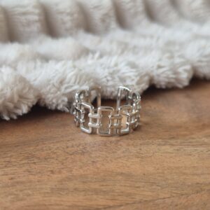 Ring fijne schakels, stainless steel, verstelbaar, one size, dames ringen, trendy