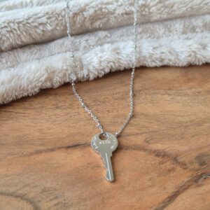 Ketting met sleutel, trendy ketting, stainless steel, cadeau tip, moderne ketting, webshop