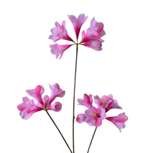kunst freesia, freesia tak, roze freesia, pink freesia, kunstbloem, realistische kunstbloem, decoratieve bloem, bloem decoratie, interieur decoratie, kunst tak, bloemen tak, roze bloem, zijden bloem, woonaccessoire, tafel decoratie, boeket samenstellen, kunst bloemen decoratie