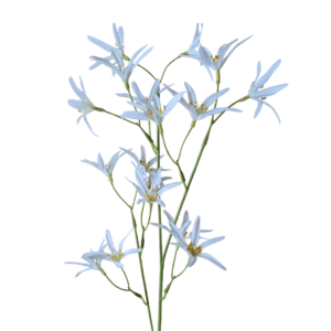 kunst tweedia, tweedia spray, blauwe tweedia, witte tweedia, kunstbloem, realistische kunstbloem, decoratieve bloem, bloem decoratie, interieur decoratie, kunst tak, bloemen tak, fijne bloemen, zijden bloem, woonaccessoire, tafel decoratie, boeket samenstellen, kunst bloemen decoratie